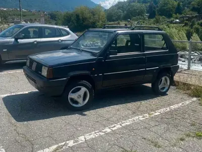 Usata Fiat Panda 4x4 Trekking 50 CV (36 kW) 1992 Grigio Utilitaria