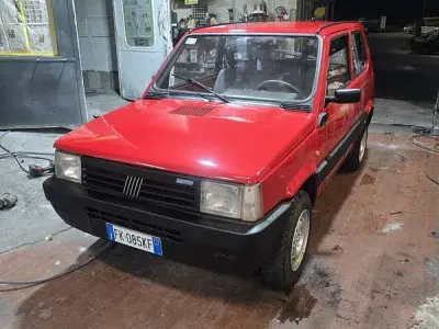Usata Fiat Panda 4x4 Trekking 50 CV (36 kW) 1994 Utilitaria