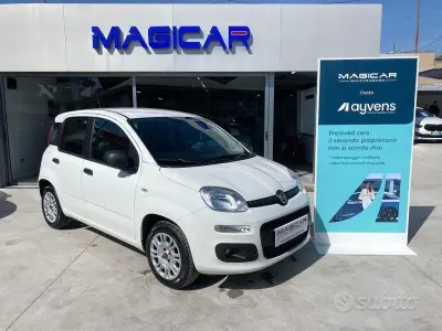 Usata Fiat Panda Easy 69 CV (50 kW) 2020 Bianco Utilitaria