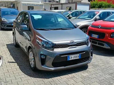 Usata Kia Picanto Urban 65 CV (47 kW) 2023 Grigio Utilitaria