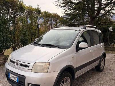 Usata Fiat Panda 4x4 60 CV (44 kW) 2010 Argento Utilitaria