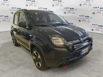 Usata Fiat Panda Cross Cross 69 CV (50 kW) 2024 Verde Utilitaria