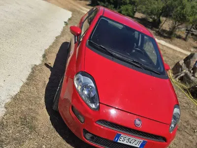 Usata Fiat Punto Easy 75 CV (55 kW) 2013 Utilitaria