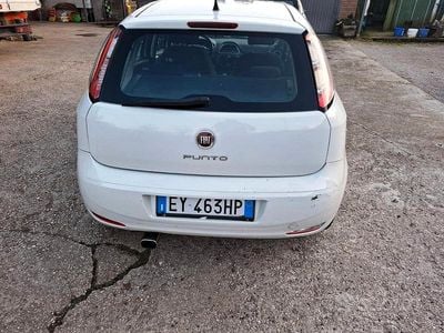 Usata Fiat Punto 75 CV (55 kW) 2015 Bianco Berlina
