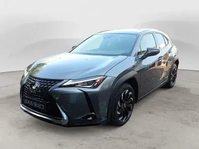 Usata Lexus UX 183 CV (134 kW) 2021 Grigio SUV