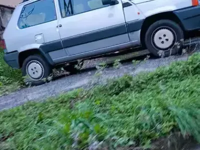 Usata Fiat Panda