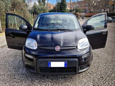Usata Fiat Panda S 69 CV (50 kW) 2023 Nero Utilitaria