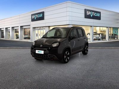 usata Fiat Panda Cross 1.0 FireFly 70cv S&S Hybrid