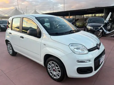 Usata Fiat Panda S 95 CV (69 kW) 2018 Bianco Utilitaria