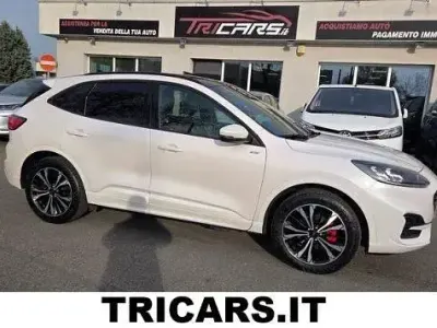 Usata Ford Kuga ST-Line X 152 CV (111 kW) 2023 Bianco SUV