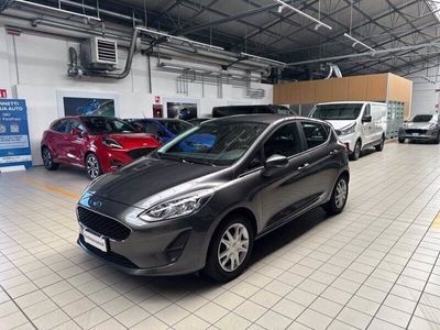 usata Ford Fiesta 7ª serie 1.1 75 CV GPL 5 porte Plus