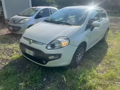 Usata Fiat Punto Evo Dynamic 75 CV (55 kW) 2011 Bianco Utilitaria