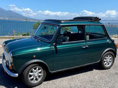 Rover Mini