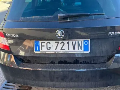 Usata Skoda Fabia