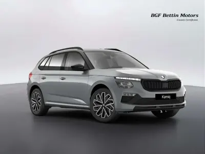 Usata Skoda Kamiq