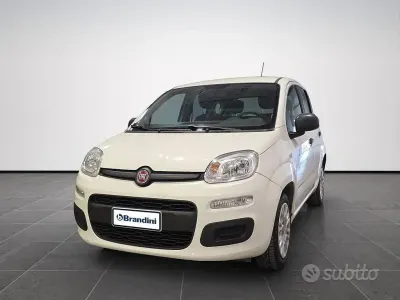 Usata Fiat Panda Easy 69 CV (50 kW) 2016 Bianco Utilitaria