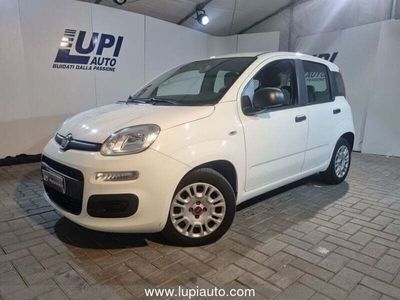 usata Fiat Panda 2ª serie 1.0 hybrid adatta ai neo patentati