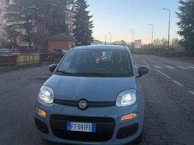 Usata Fiat Panda 69 CV (50 kW) 2018 Grigio Utilitaria