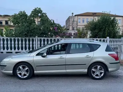 Usata Peugeot 407