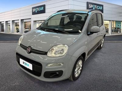 Usata Fiat Panda Lounge 69 CV (50 kW) 2019 Grigio Utilitaria