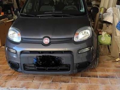 Usata Fiat Panda City Life 69 CV (50 kW) 2021 Utilitaria