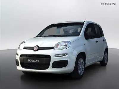 Nuova Fiat Panda Icon 65 CV (47 kW) 2026 Bianco Utilitaria