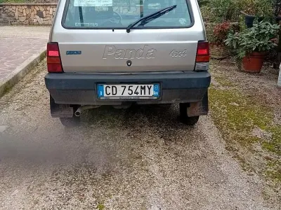 Usata Fiat Panda 4x4 54 CV (39 kW) 2002 Grigio Utilitaria