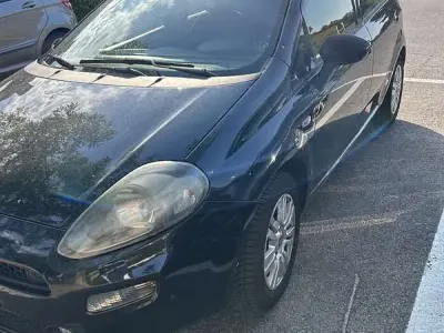 Usata Fiat Punto Evo