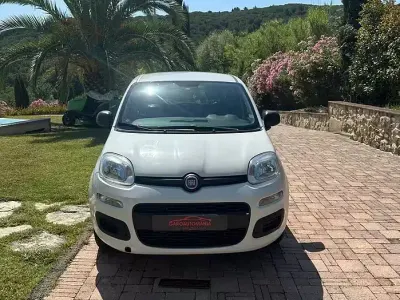 Usata Fiat Panda Pop 69 CV (50 kW) 2019 Bianco Utilitaria