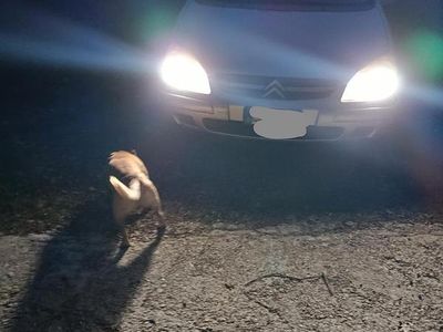 Usata Citroën C5 130 CV (95 kW) 2003 Grigio Station wagon