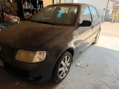 Usata VW Polo
