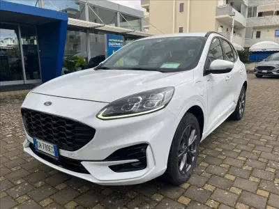 Usata Ford Kuga ST-Line X 225 CV (165 kW) 2021 Bianco SUV
