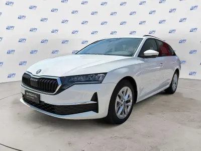 Usata Skoda Octavia
