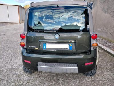 Usata Fiat Panda Cross 2006 Verde Utilitaria