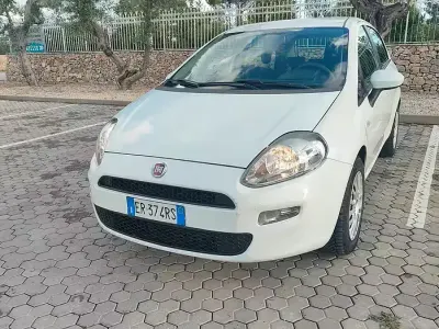 Usata Fiat Punto 75 CV (55 kW) 2013 Bianco Utilitaria