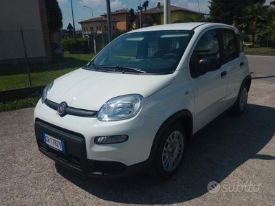 Usata Fiat Panda S 70 CV (51 kW) 2023 Bianco Utilitaria