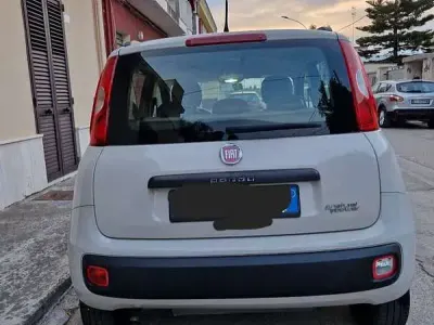 Usata Fiat Panda 60 CV (44 kW) 2013 Utilitaria