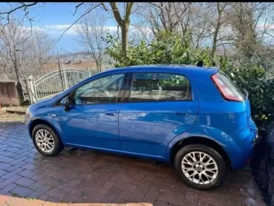 Usata Fiat Punto Evo Active 69 CV (50 kW) 2011 Utilitaria