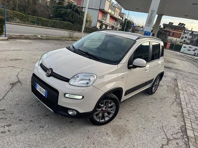 Usata Fiat Panda 4x4 S 95 CV (69 kW) 2018 Beige Utilitaria