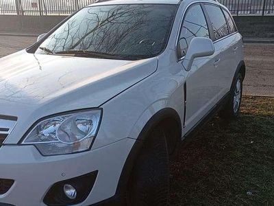 Usata Opel Antara Cosmo 163 CV (119 kW) 2011 Bianco perlato SUV