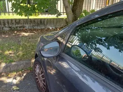 Usata Fiat Punto