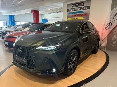 Usata Lexus NX200t Luxury Line 309 CV (227 kW) 2023 Verde SUV
