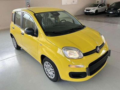 Nuova Fiat Panda Icon 65 CV (47 kW) 2026 Giallo sole pastello Utilitaria