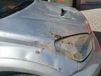 Usata Toyota RAV4 2003 SUV