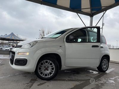 Usata Fiat Panda Easy 69 CV (50 kW) 2020 Bianco Utilitaria