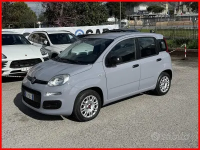 Usata Fiat Panda 69 CV (50 kW) 2019 Grigio Utilitaria