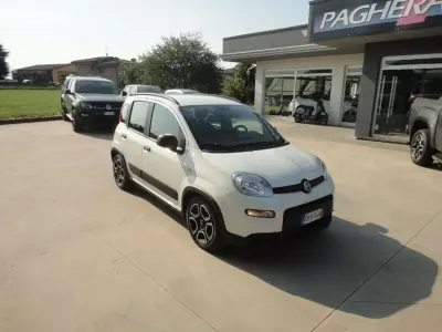Usata Fiat Panda S 69 CV (50 kW) 2021 Bianco Utilitaria