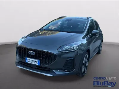 Gebraucht Ford Fiesta Active 125 PS (91 kW) 2022 Grau Kleinwagen
