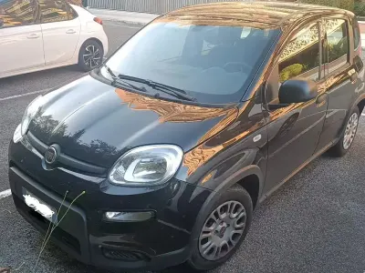 Usata Fiat Panda Easy 69 CV (50 kW) 2024 Nero Utilitaria
