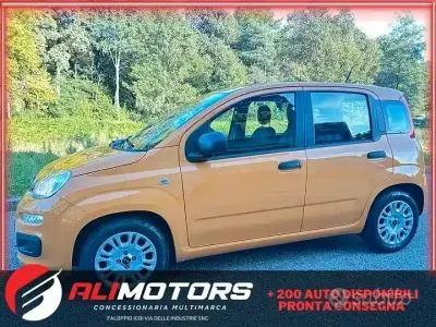 Usata Fiat Panda S 69 CV (50 kW) 2021 Utilitaria